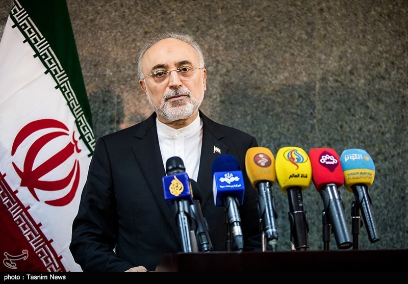 صالحی: ایران هوشیار ضرری از مکر آمریکا نمی‌بیند