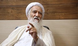 موحدی‎کرمانی: اشرافیگیری در مرقد امام را نمی‌پسندم