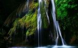 تنها آبشار خزه‌ای ایران +عکس