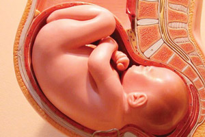 تأثیرات صحبت کردن با جنین نوزاد در دوران بارداری