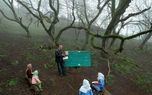 کلاس درس در دِل جنگل‌های تالش!