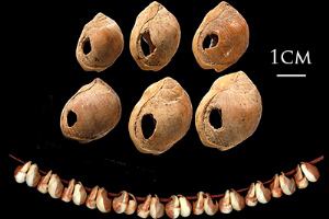 عکس هایی از جواهرات مربوط به 130،000 سال پیش
