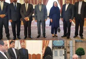 دیدار خداحافظی سفیر پاکستان در تهران با عراقچی